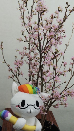 ひゅーにゃん桜2.jpg