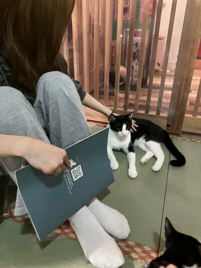 【秋葉原】ねこプロ専攻✨授業の様子