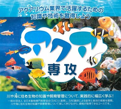 【秋葉原】★新規開講★『アクア専攻』🐟体験会🐟