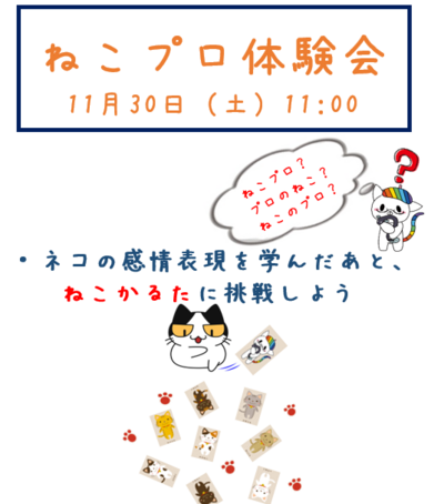 【浜松】11月30日（土）　ねこプロの体験会のご案内