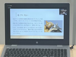 0514ねこ１.JPG