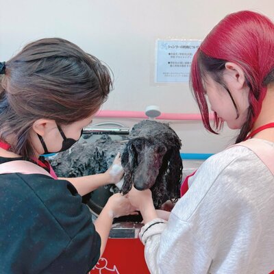 【川崎】ペット専攻🐩校外学習に行きました！