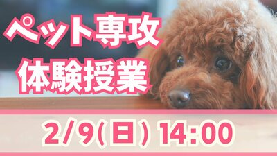 【川崎】2/9(日) ペット専攻体験授業のお知らせ🐩