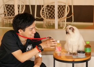 【名護】猫カフェ見学🐈