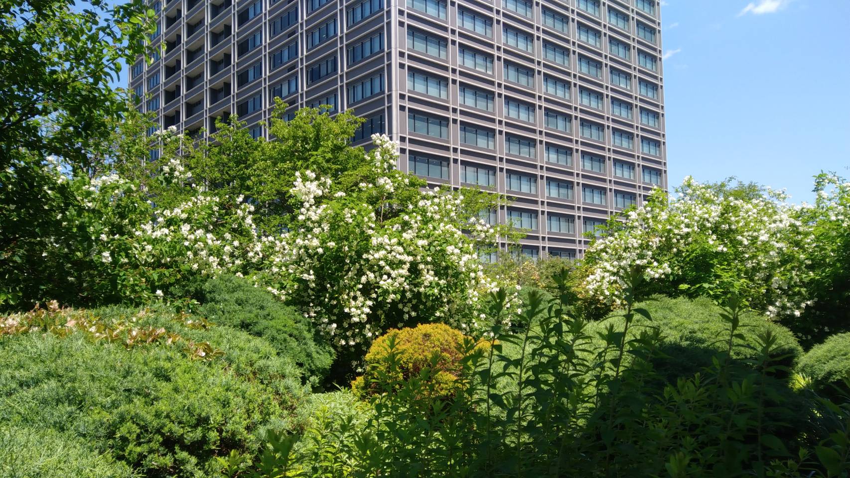 なんば 屋上庭園 明日のレポート提出日 なんば校 通信制高校のヒューマンキャンパス高校