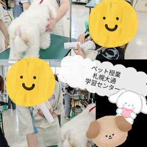 【札幌大通】久しぶりのペット授業🐶