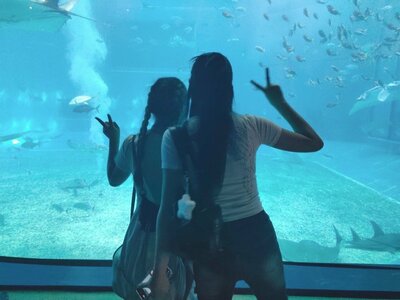 07.30　美ら海水族館①.jpg