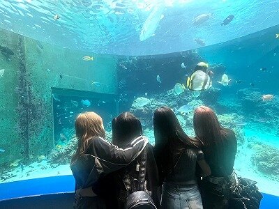 【高松】美ら海水族館に行きました🐬🐟