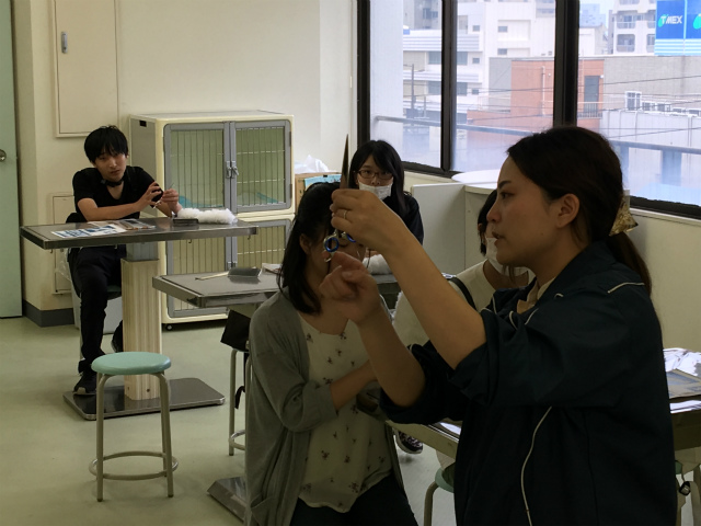 https://www.hchs.ed.jp/campus/takamatsu/images/s%E3%83%9A%E3%83%83%E3%83%88%E2%91%A2.jpg