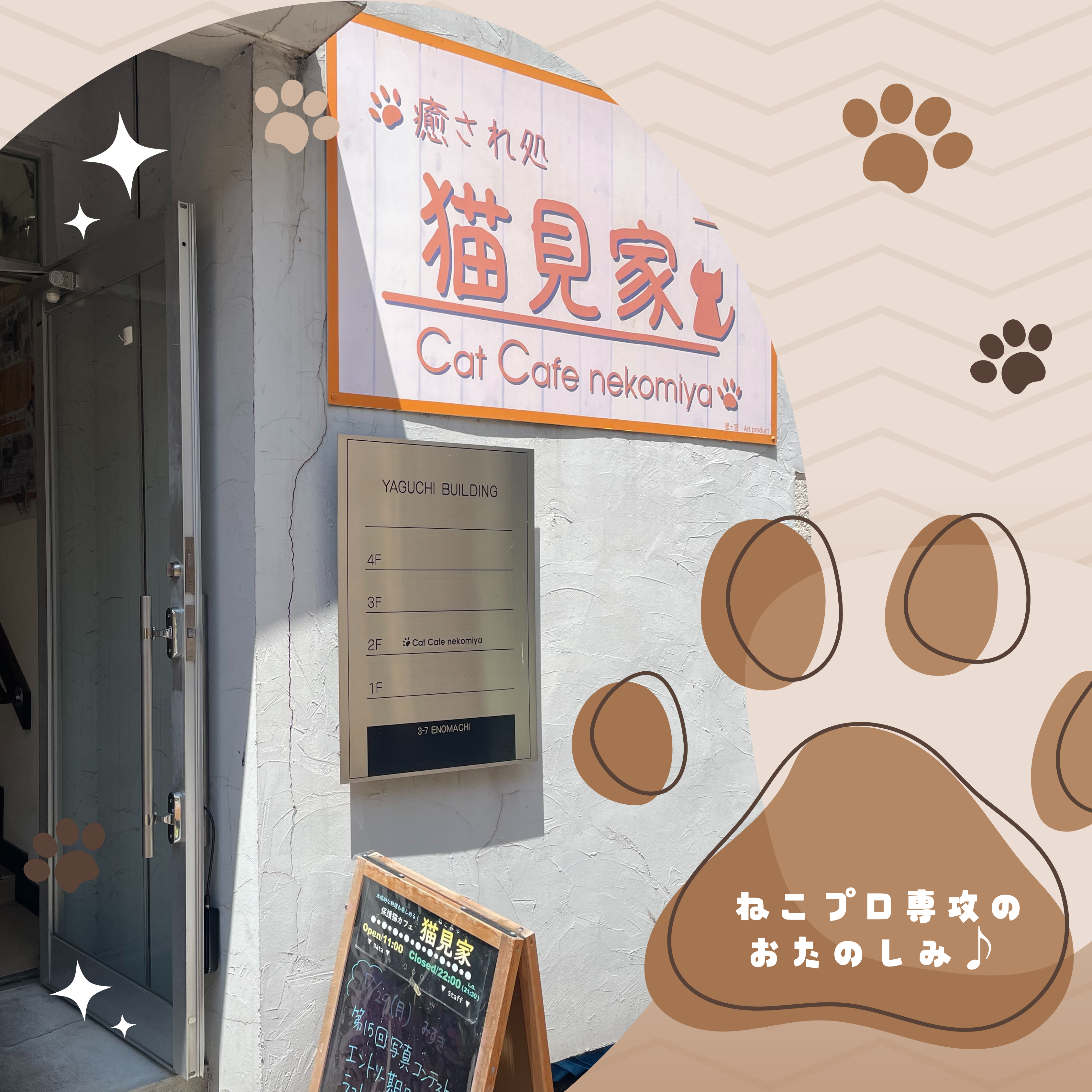 【宇都宮】初のねこカフェ訪問💗