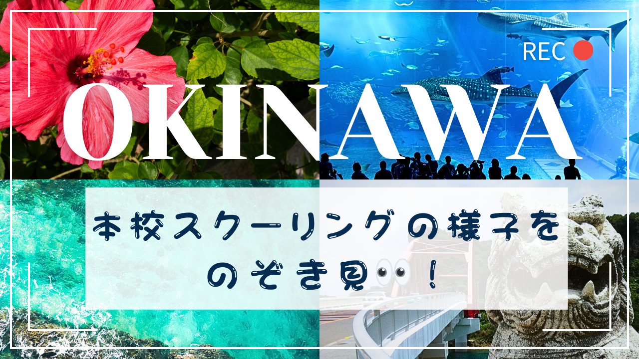 【宇都宮】本校スクーリングの様子をのぞき見👀！🌺🌴