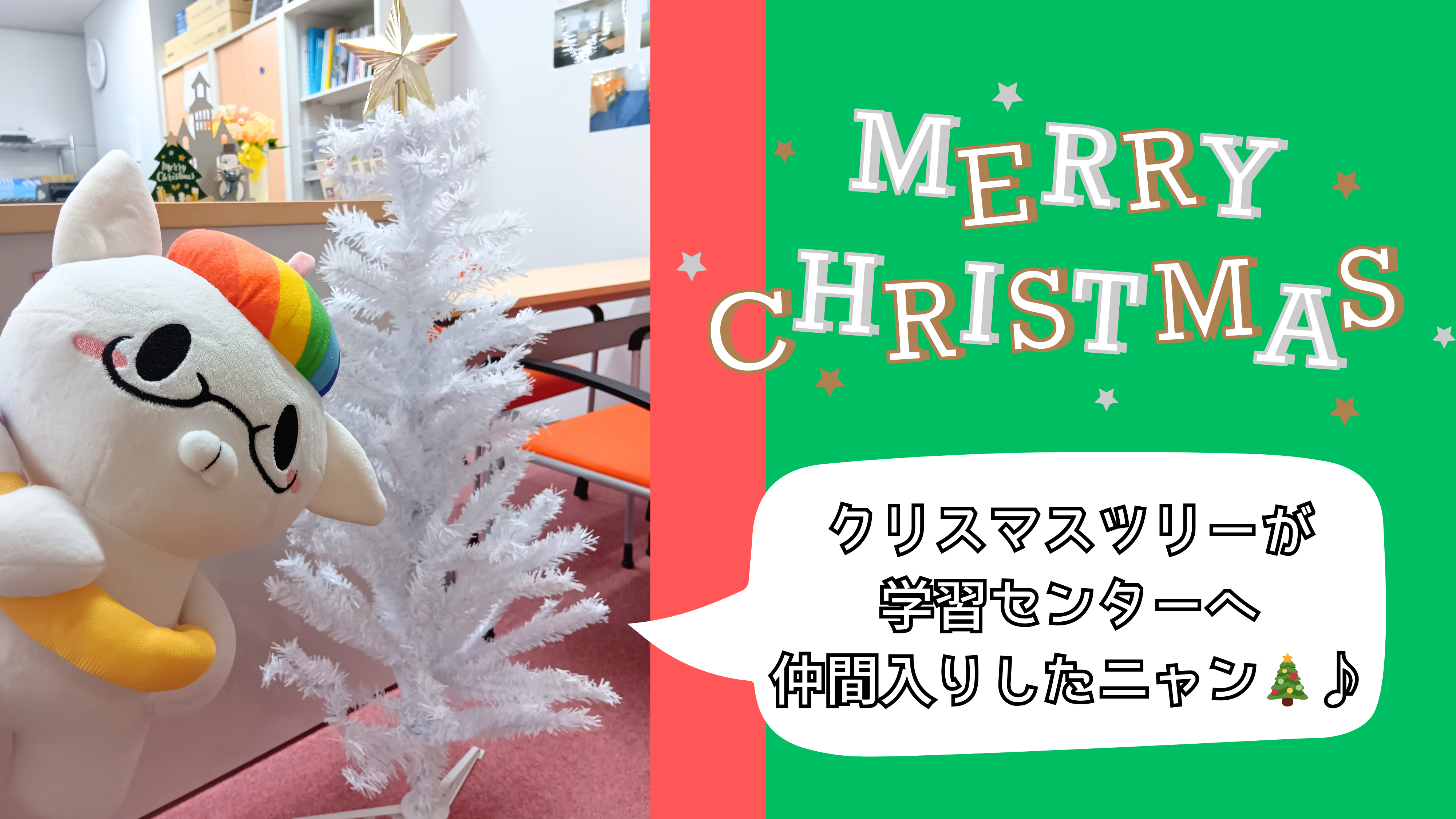 【宇都宮】🎄ツリーがやってきた...！！